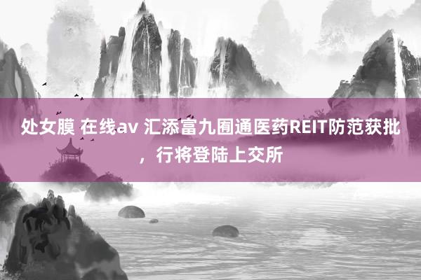 处女膜 在线av 汇添富九囿通医药REIT防范获批，行将登陆上交所