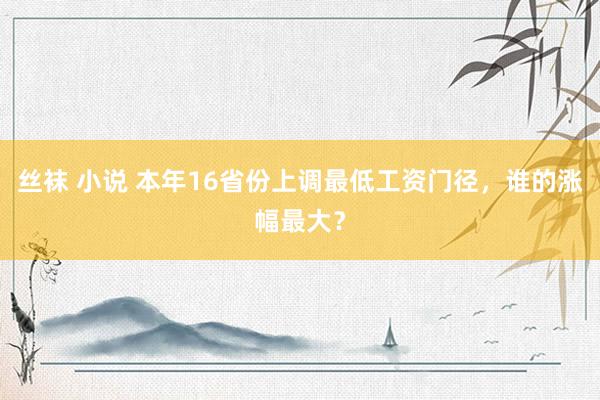 丝袜 小说 本年16省份上调最低工资门径，谁的涨幅最大？