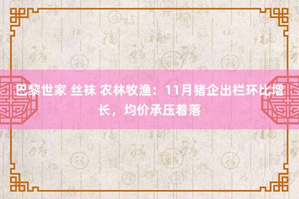 巴黎世家 丝袜 农林牧渔：11月猪企出栏环比增长，均价承压着落