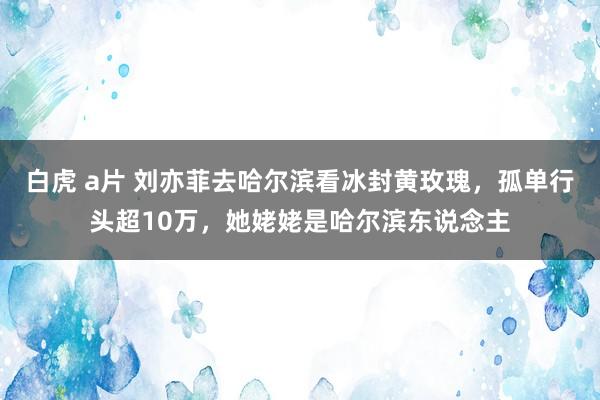 白虎 a片 刘亦菲去哈尔滨看冰封黄玫瑰，孤单行头超10万，她姥姥是哈尔滨东说念主