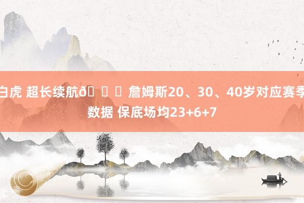 白虎 超长续航🔋詹姆斯20、30、40岁对应赛季数据 保底场均23+6+7