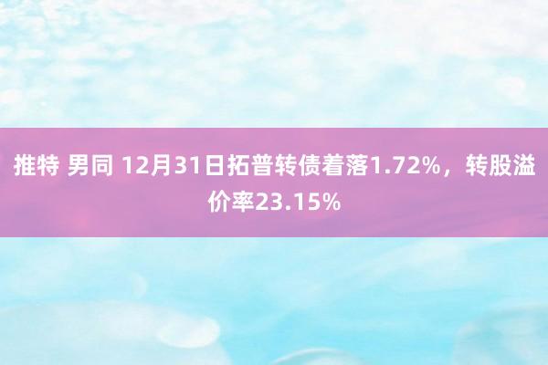 推特 男同 12月31日拓普转债着落1.72%，转股溢价率23.15%