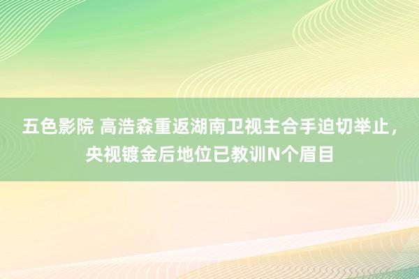 五色影院 高浩森重返湖南卫视主合手迫切举止，央视镀金后地位已教训N个眉目