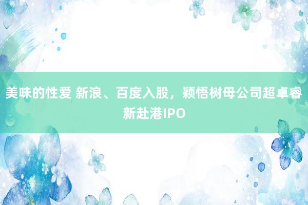 美味的性爱 新浪、百度入股，颖悟树母公司超卓睿新赴港IPO