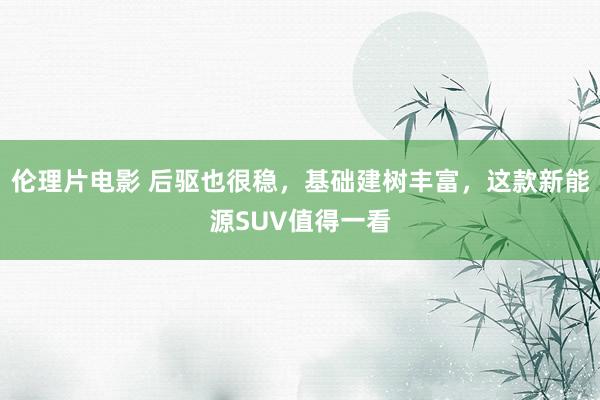 伦理片电影 后驱也很稳，基础建树丰富，这款新能源SUV值得一看