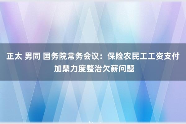 正太 男同 国务院常务会议：保险农民工工资支付 加鼎力度整治欠薪问题