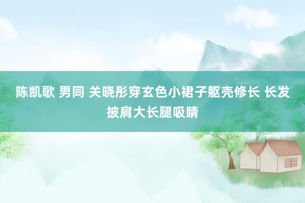 陈凯歌 男同 关晓彤穿玄色小裙子躯壳修长 长发披肩大长腿吸睛