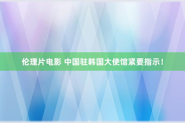 伦理片电影 中国驻韩国大使馆紧要指示！