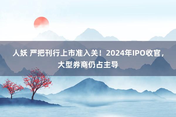 人妖 严把刊行上市准入关！2024年IPO收官，大型券商仍占主导