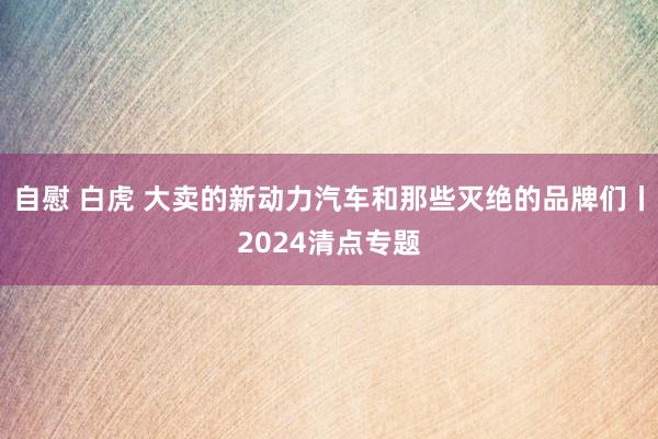 自慰 白虎 大卖的新动力汽车和那些灭绝的品牌们丨2024清点专题