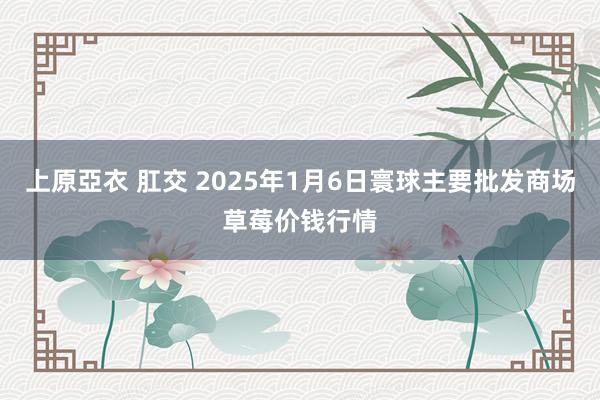 上原亞衣 肛交 2025年1月6日寰球主要批发商场草莓价钱行情