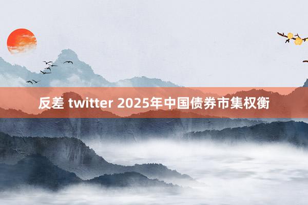 反差 twitter 2025年中国债券市集权衡