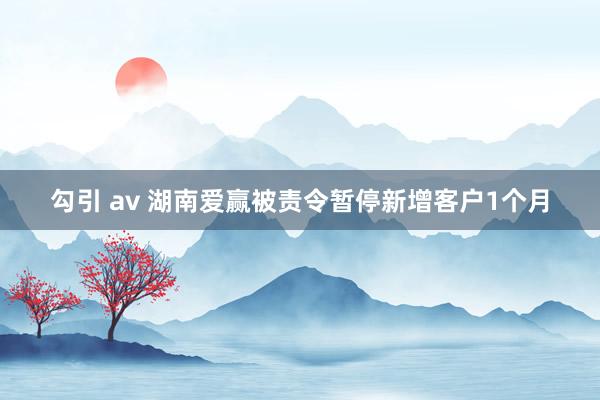 勾引 av 湖南爱赢被责令暂停新增客户1个月