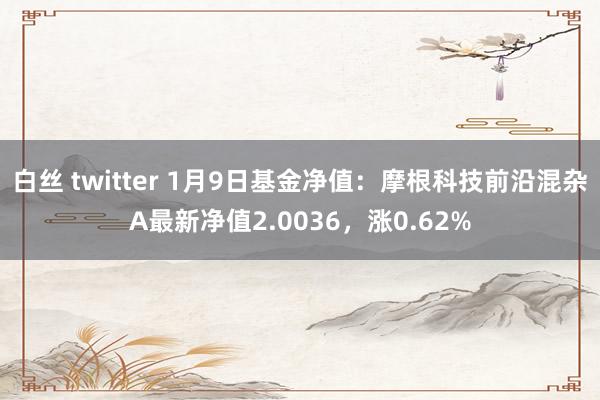 白丝 twitter 1月9日基金净值：摩根科技前沿混杂A最新净值2.0036，涨0.62%