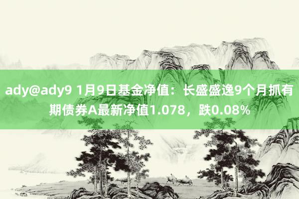 ady@ady9 1月9日基金净值：长盛盛逸9个月抓有期债券A最新净值1.078，跌0.08%