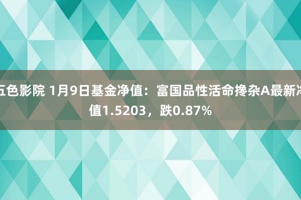 五色影院 1月9日基金净值：富国品性活命搀杂A最新净值1.5203，跌0.87%