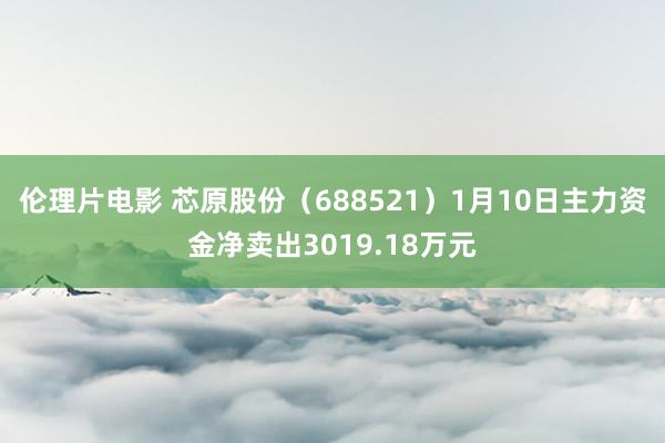 伦理片电影 芯原股份（688521）1月10日主力资金净卖出3019.18万元