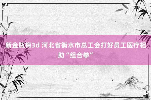 新金瓶梅3d 河北省衡水市总工会打好员工医疗相助“组合拳”