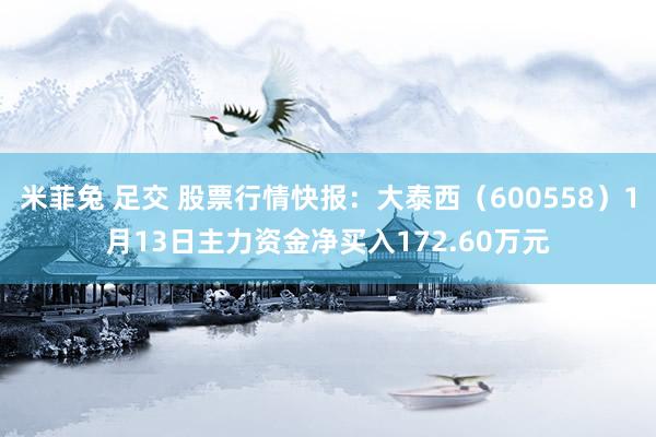 米菲兔 足交 股票行情快报：大泰西（600558）1月13日主力资金净买入172.60万元