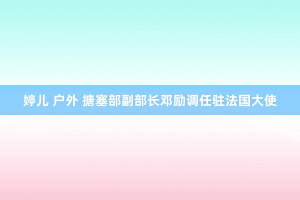 婷儿 户外 搪塞部副部长邓励调任驻法国大使