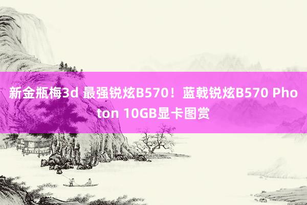 新金瓶梅3d 最强锐炫B570！蓝戟锐炫B570 Photon 10GB显卡图赏